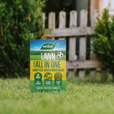 PopCat-Lawn-Care.webp